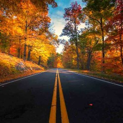 Best road trips you can take near London, Ontario this fall
