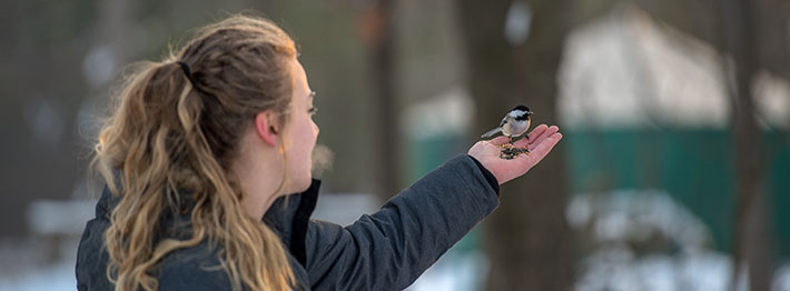 Student feeding birds outside during the winter