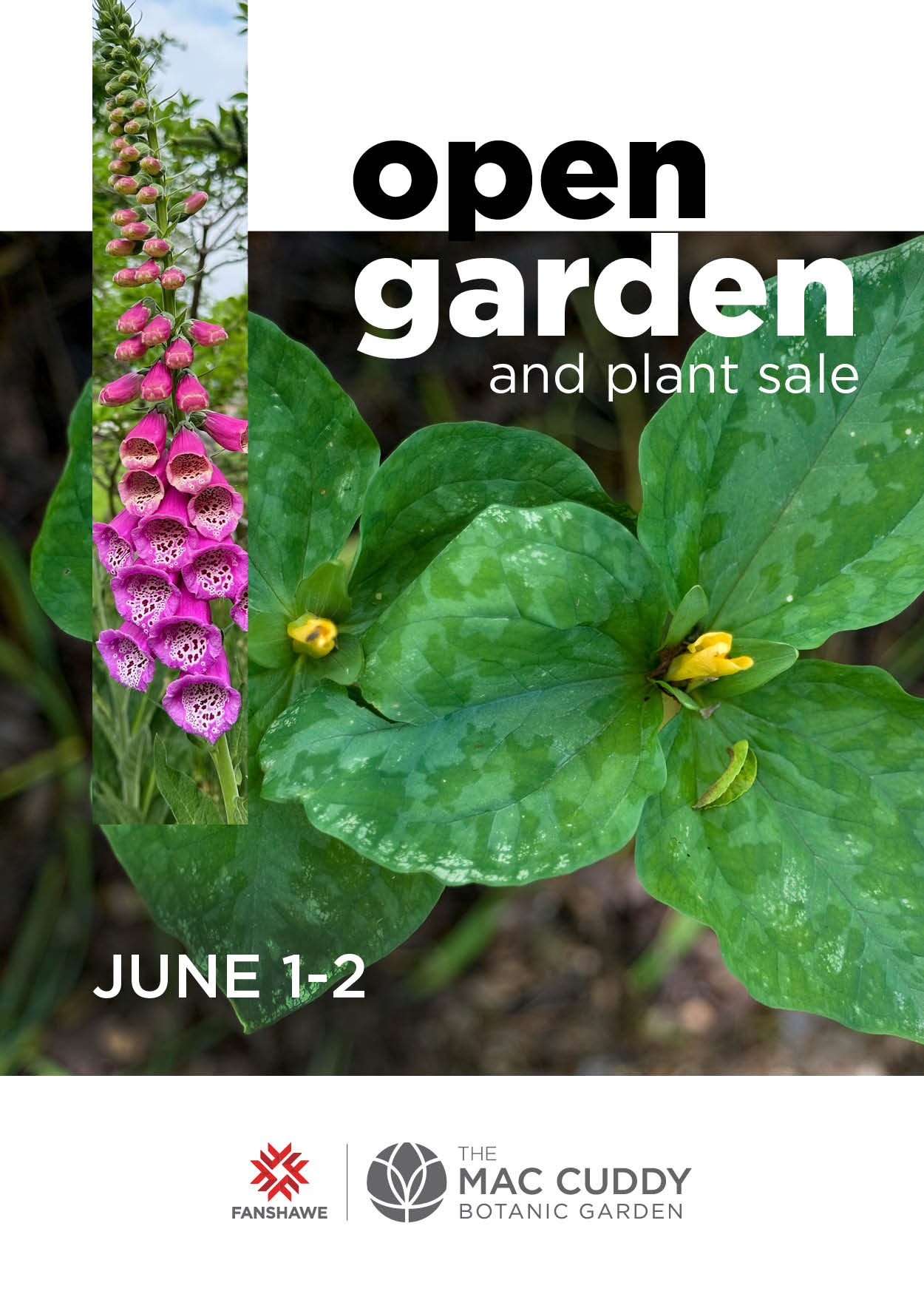 open garden and plant sale June 1-2 presented by Fanshawe and The Mac Cuddy Botanic Garden