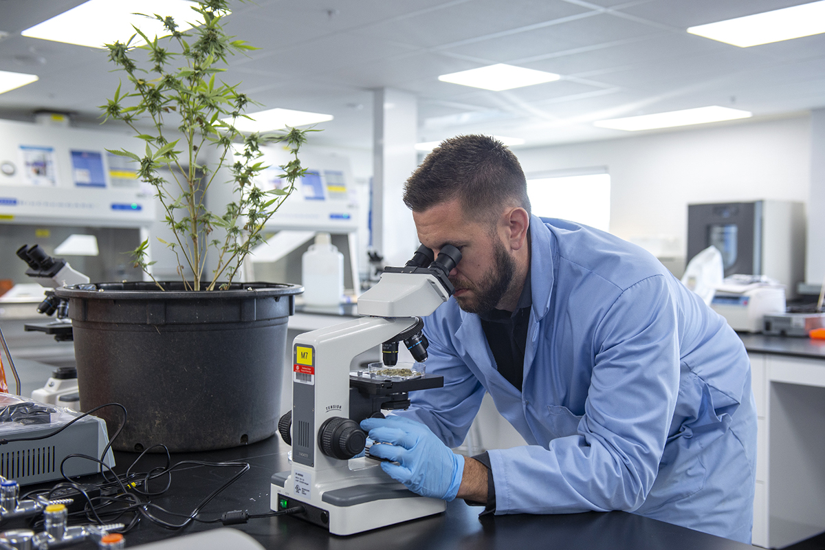 Cannabis Applied Science Students in the CARIB lab