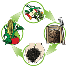 Composting image