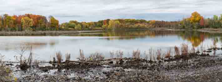 Fall colours in Westminster Ponds