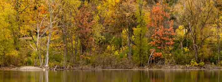 Fall colours in Komoka Provincial Park