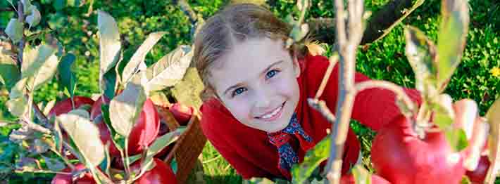 little girl picking an apple from a tree