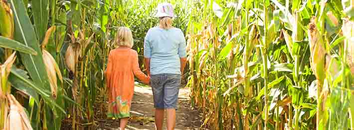 woman and child walking through corn maze