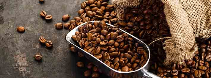 Coffee beans in a scooper 