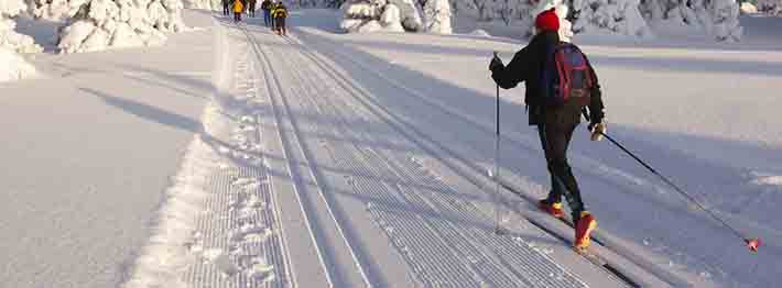 Cross country skiing on a sunny winter morning