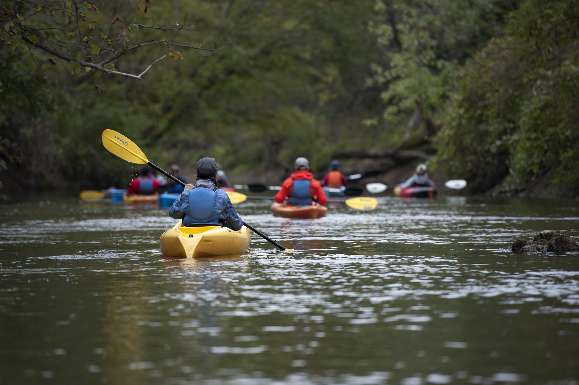 Adventure Expeditions and Interpretive Leadership students, kayaking down river