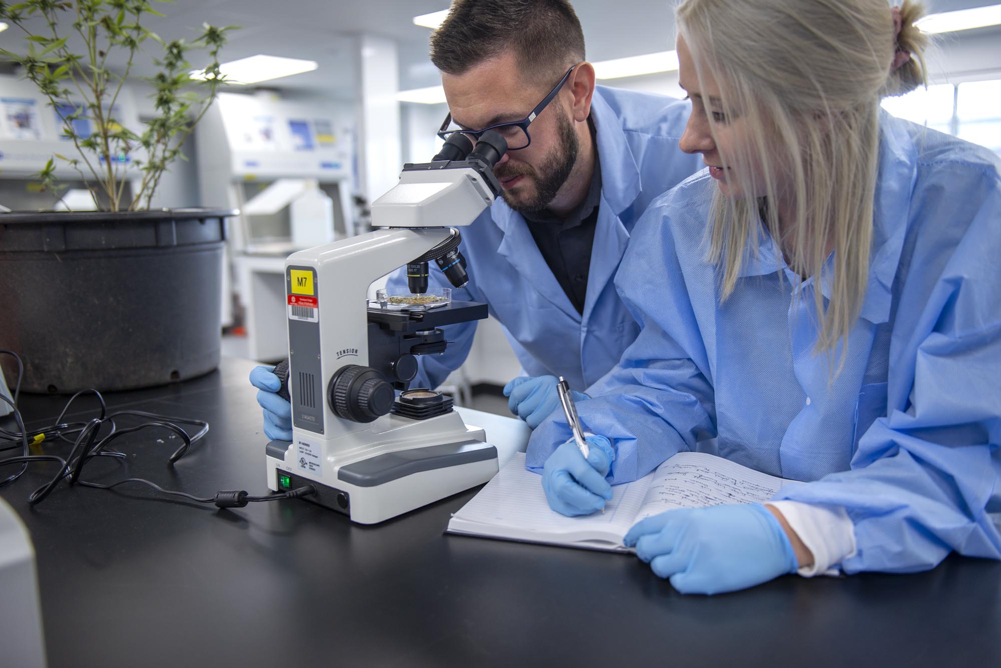 Student in chemistry lab at Fanshawe College looking into microscope