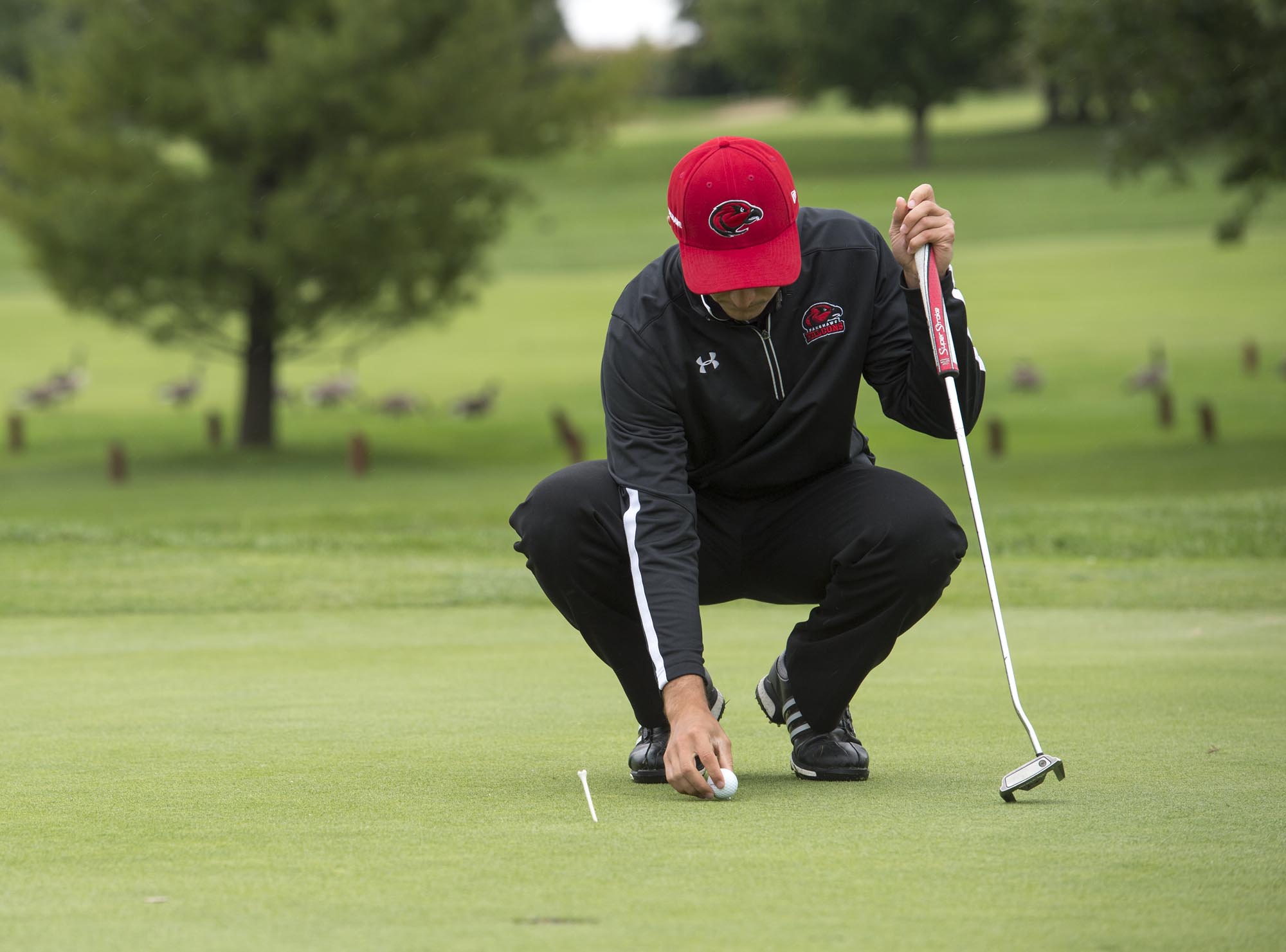 Person with golf club, on golf course, bending over to place ball on green