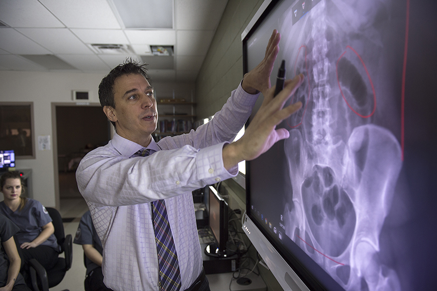School of Health Sciences professor