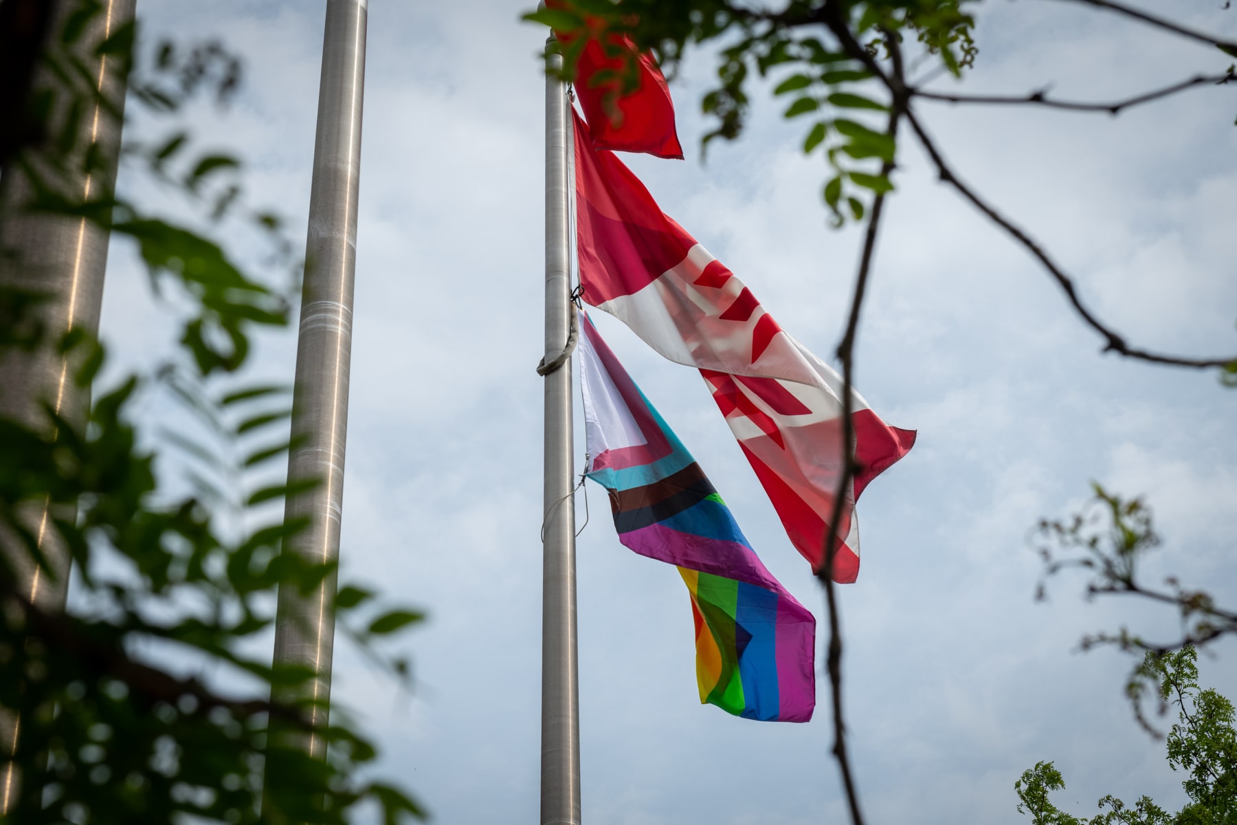 Pride flag and Fanshawe flag flying together