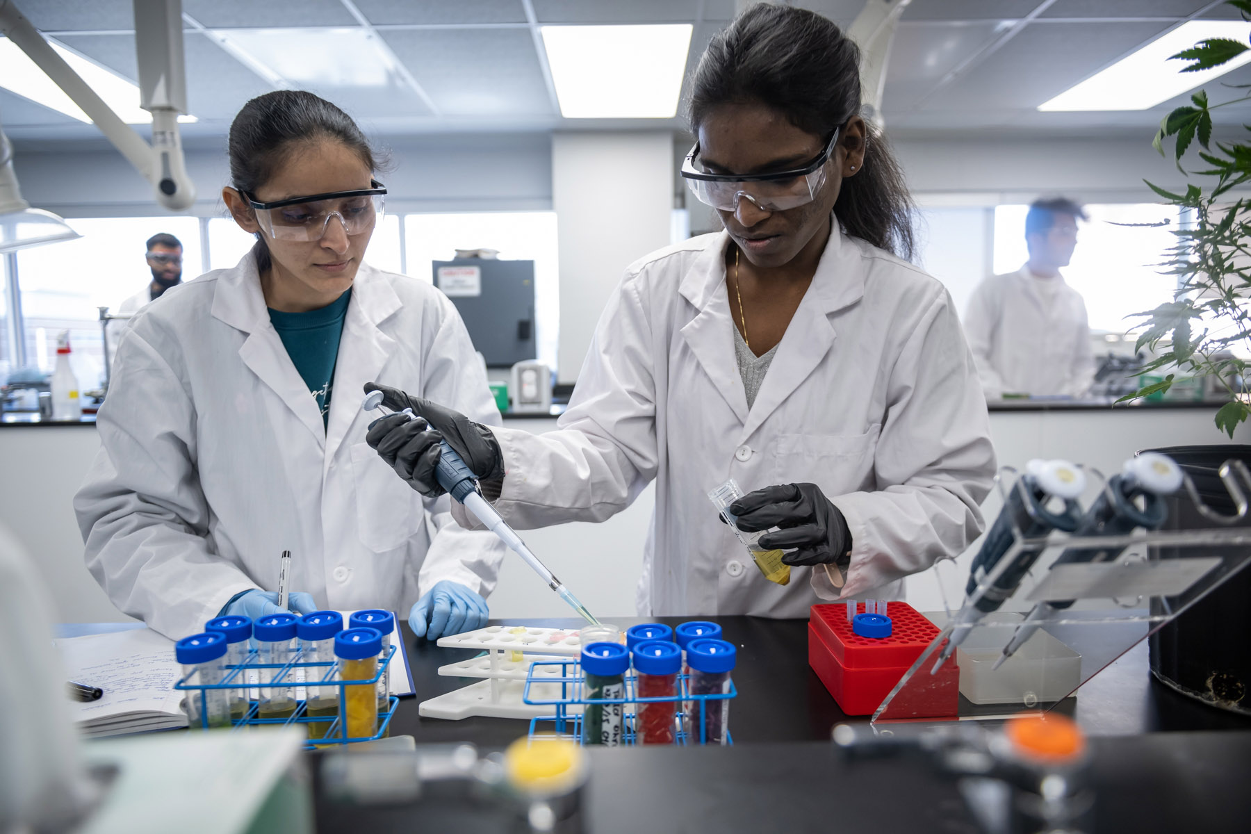 Researchers working in a lab