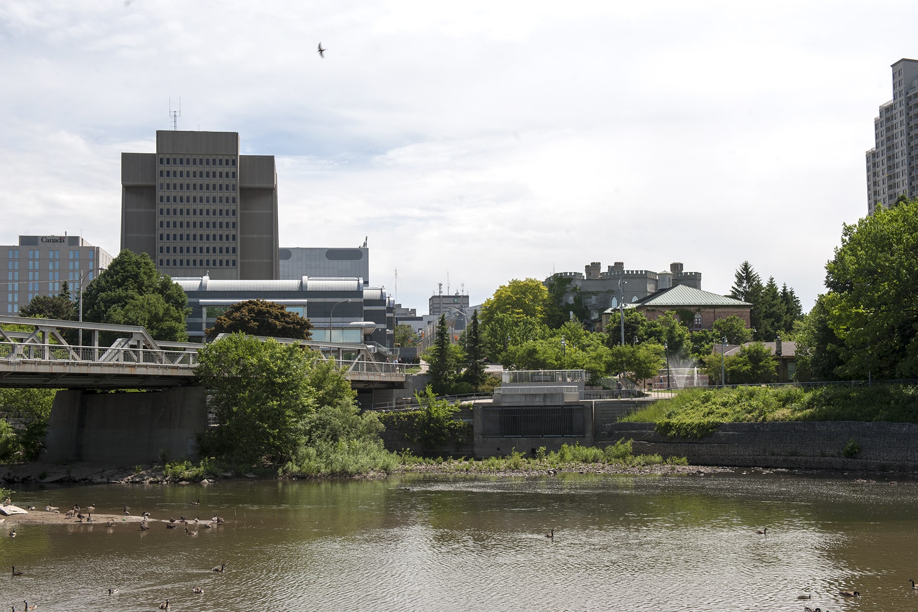 Thames river in london flowing under bridge in front of city skyline