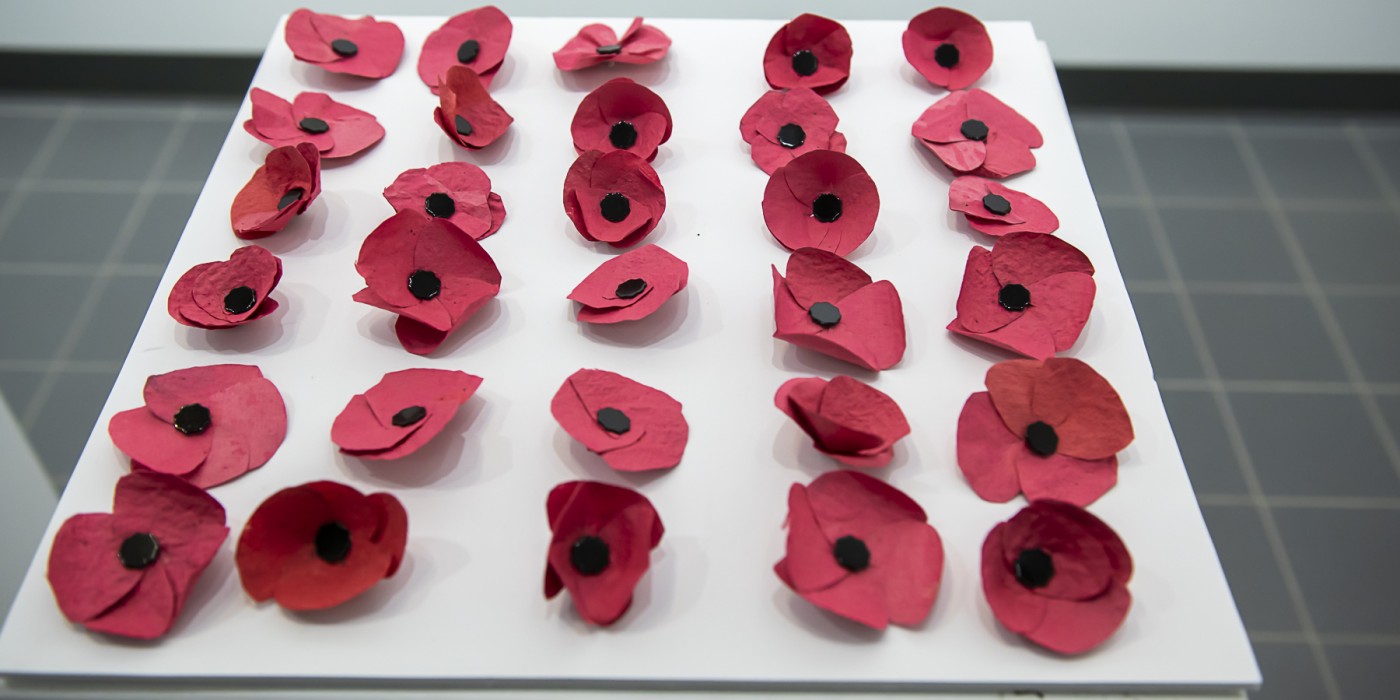 A display of poppies