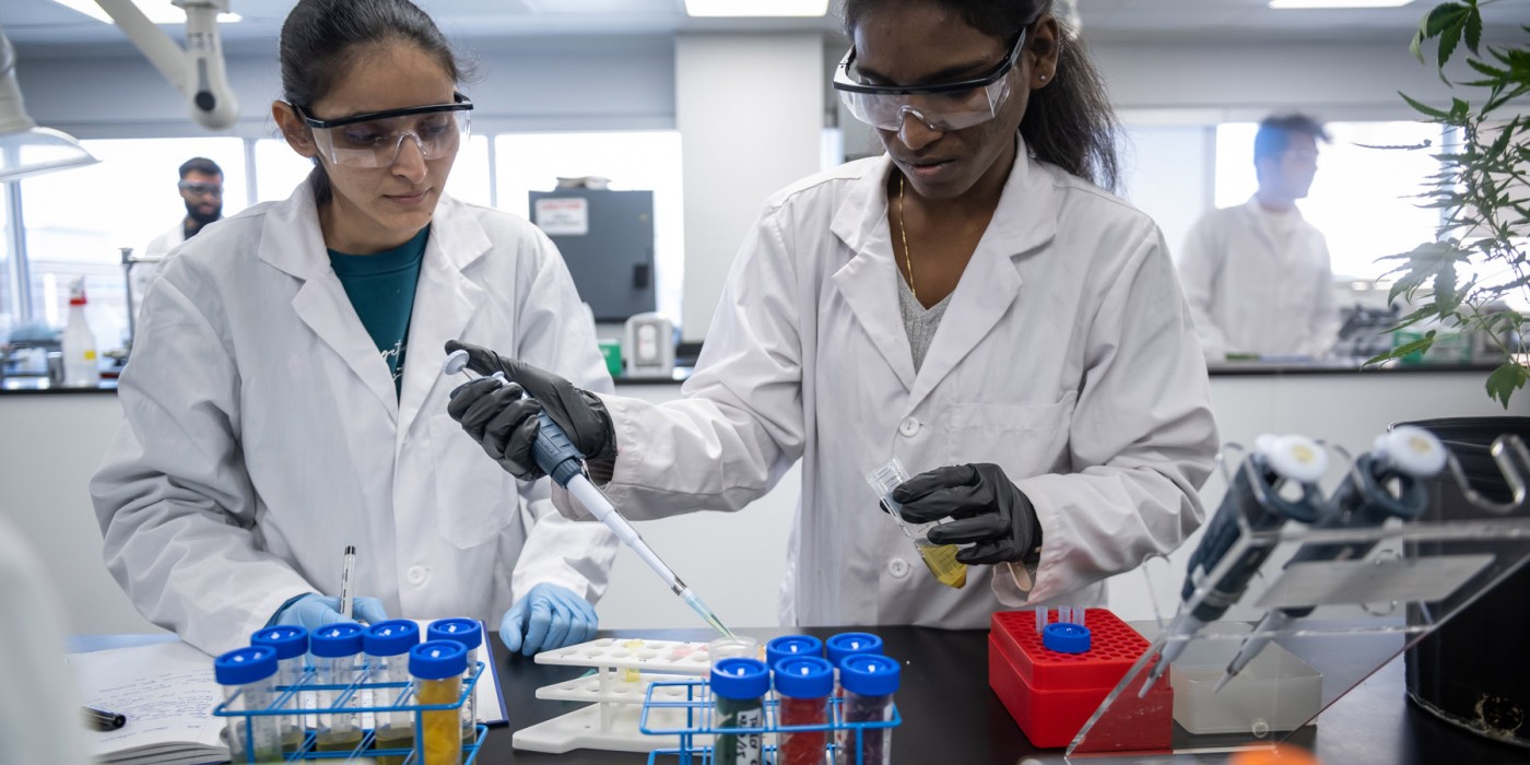Researchers working in a lab