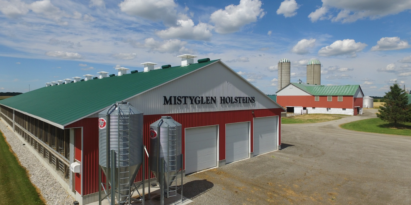 Photo of the facilities at MistyGlen