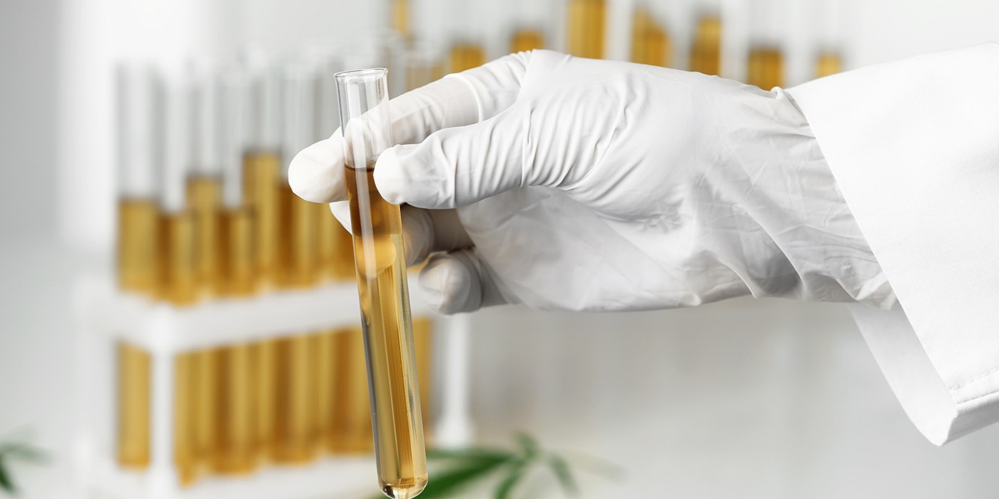 Photo of a researcher holding a vial