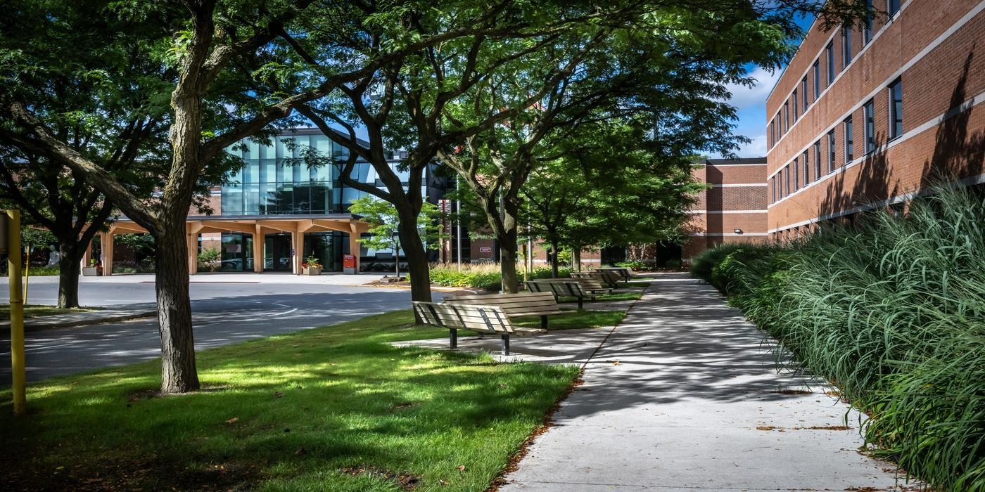 A paved walkway lined with benches and trees runs alongside a brick building.