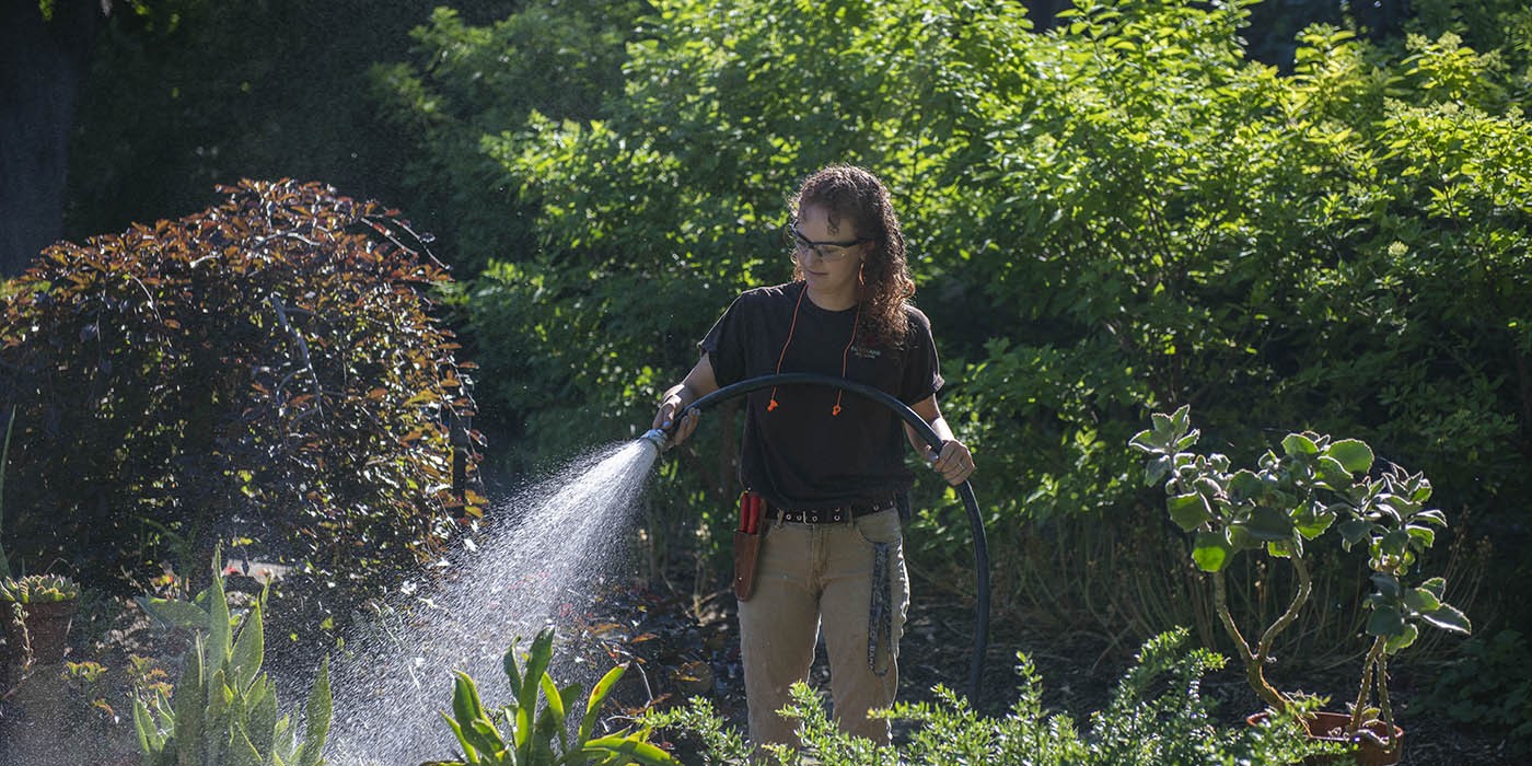 At the London Campus of Fanshawe College, a Horticulture Technician student is watering potted plants with a hose, surrounded by lush greenery.