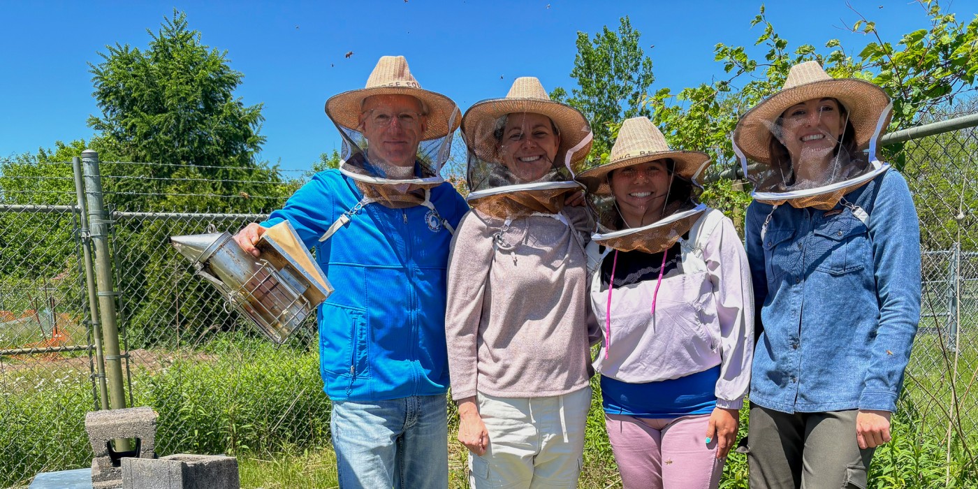 Four people wearing protective hoods stand next to bee colonies.