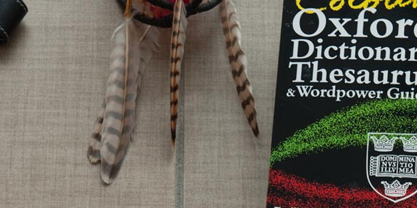 School of Language and Liberal Studies