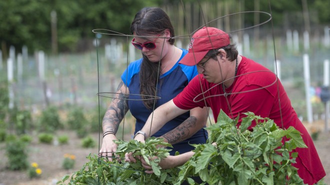 Two people working in a garden