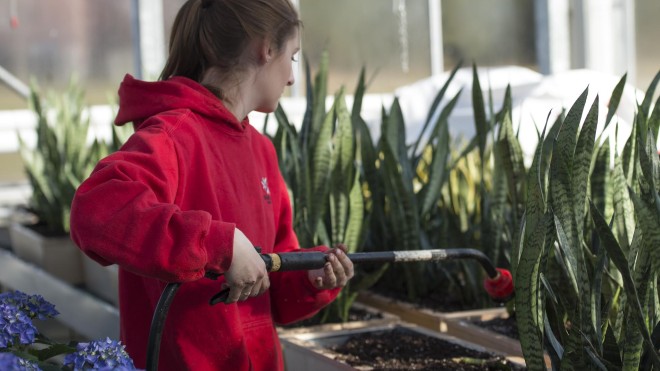Student watering plants in Spriet Family Greenhouse at Fanshawe College