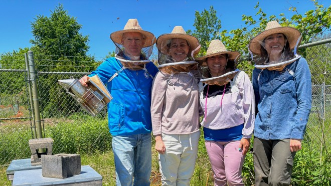 Four people wearing protective hoods stand next to bee colonies.