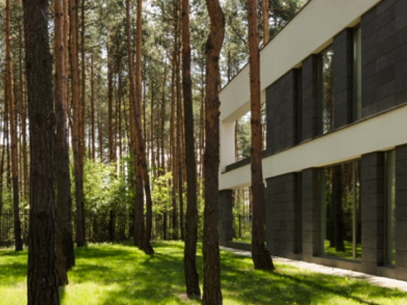 A new building integrates with the nature around it. 
