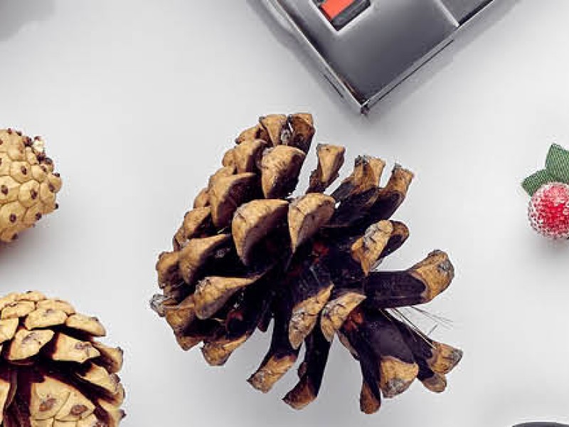 Winter Arrangement Tips