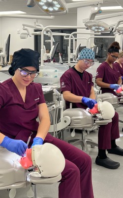 Photo of dental hygiene students working in the lab