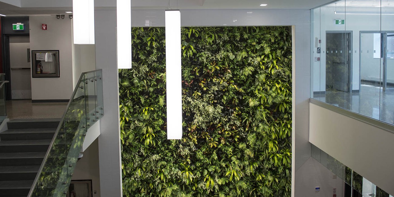 The interior of Fanshawe College's London Downtown Campus features a multi-story green wall, illuminated by modern, rectangular light fixtures, creating a biophilic design element within the academic space.
