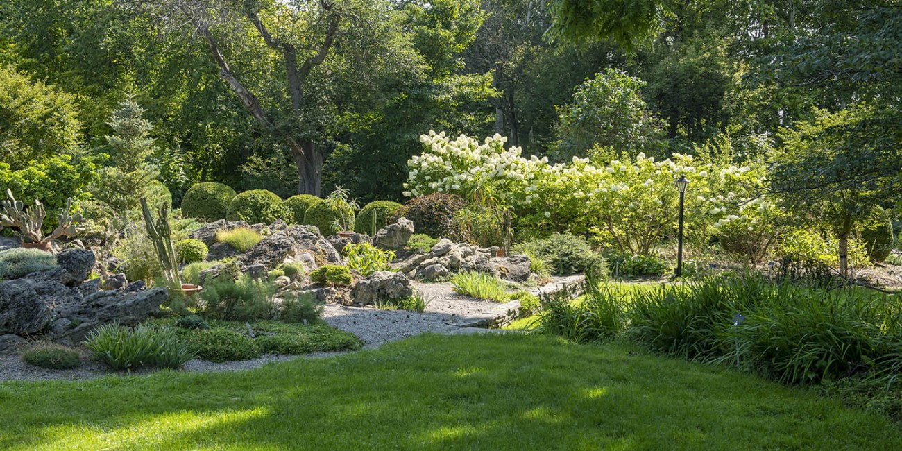 A garden features a rockery with various plants, including cacti, surrounded by green grass and trees.