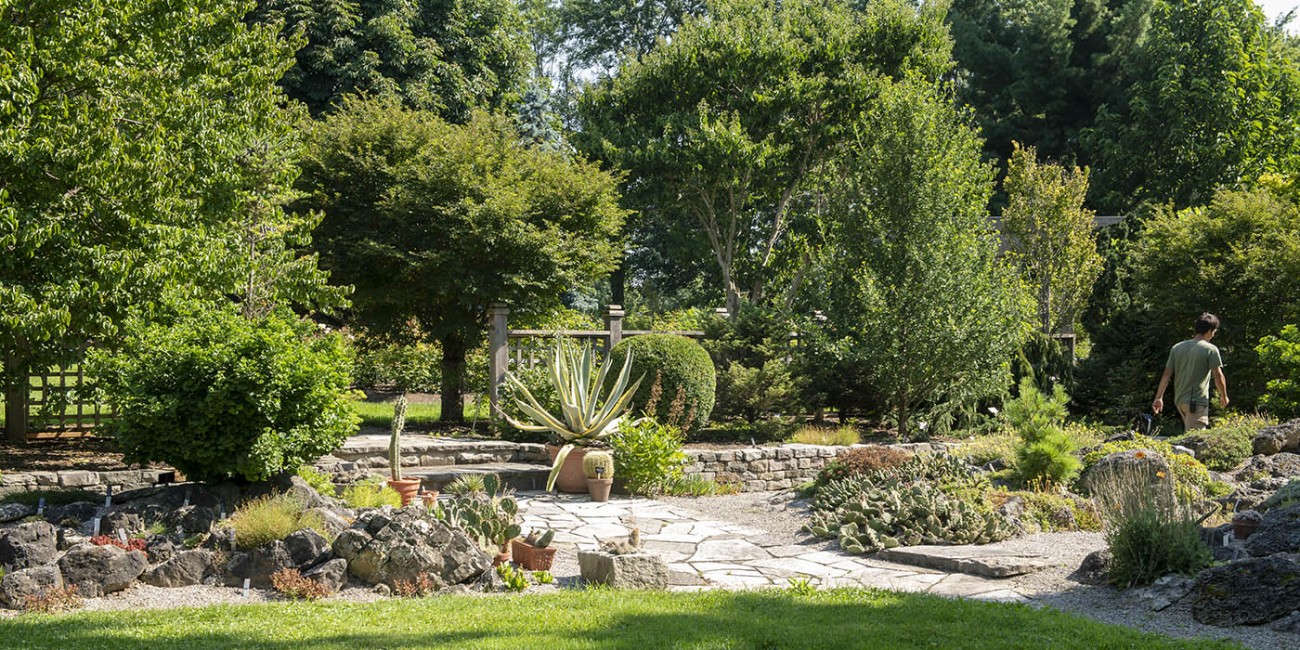 A garden features a stone path leading past various plants, including cacti in pots and a large agave in a pot, with trees in the background.