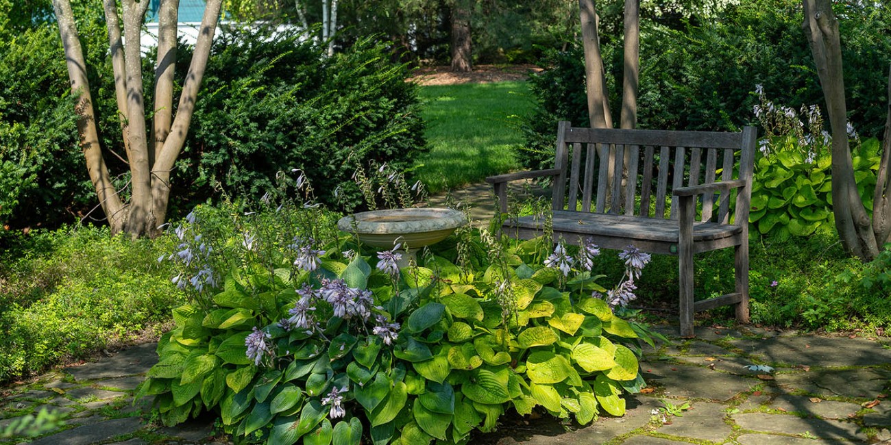 A wooden bench sits on a stone path next to a garden bed with a bird bath.