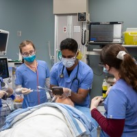 Group of 5 students practicing incubating on a fake patient