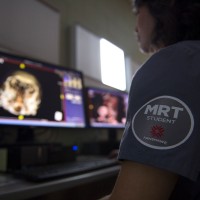 Student wearing scrubs and looking at x-rays on computer