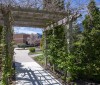 Pergola with vines over a pathway, Fanshawe building and magnolia tree in the background