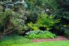 Image of garden with flower bed and trees