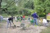 Landscape Design Students installing a rain garden in Storybrook Gardens. This project was a partnership with the City of London.