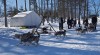 AEL1J students dog-sledding