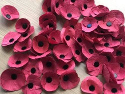 Seed Paper Poppies
