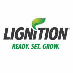 Lignition logo