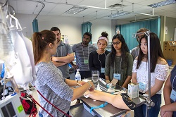 Students at summer surgery school