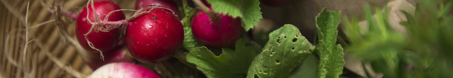 Five steps to sustainable cooking