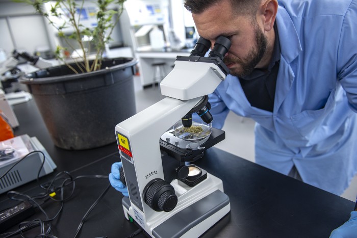 Fanshawe's Cannabis Applied Science lab