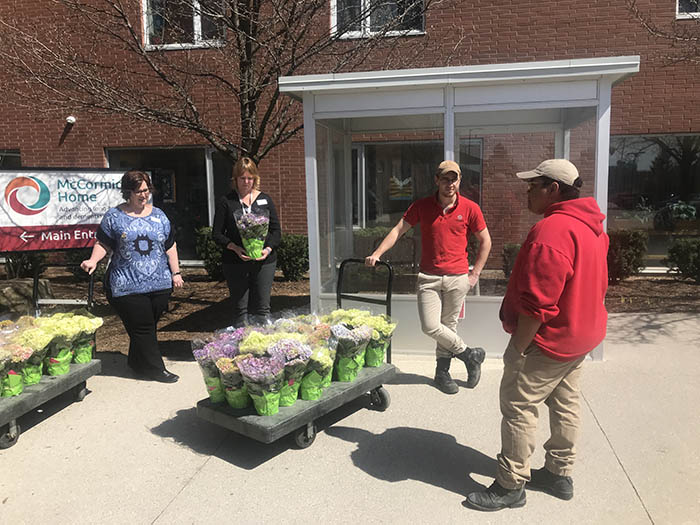 Hydrangeas donated to McCormick Home by Fanshawe's Horticulture Technician program