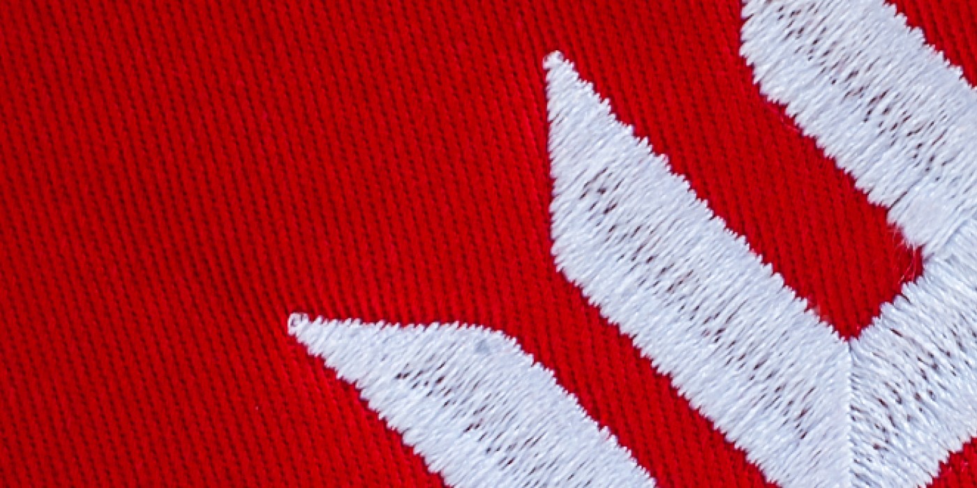 Fanshawe Logo on Fabric